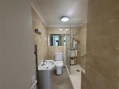 Picture 7